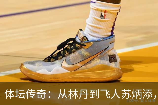 体坛传奇：从林丹到飞人苏炳添，他们如何书写辉煌