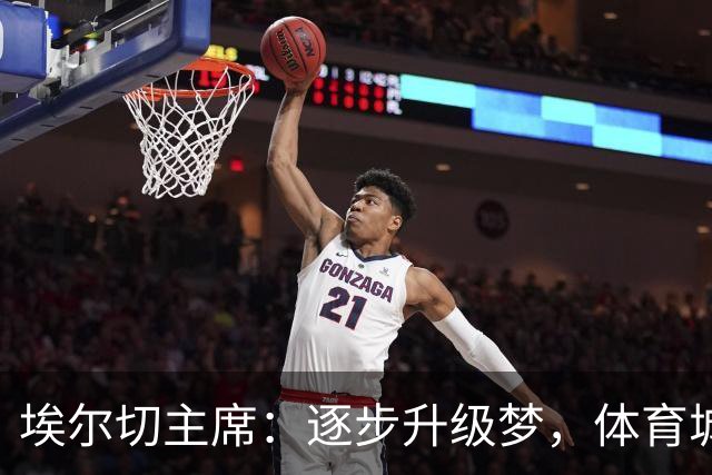 埃尔切主席：逐步升级梦，体育城蓝图即将启航！