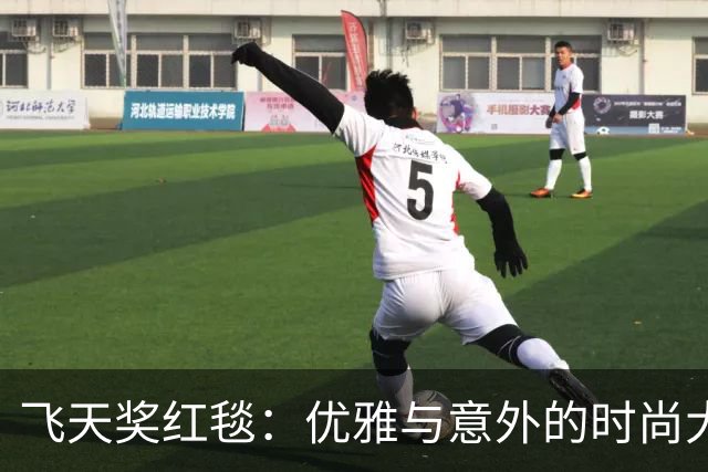 飞天奖红毯：优雅与意外的时尚大比拼